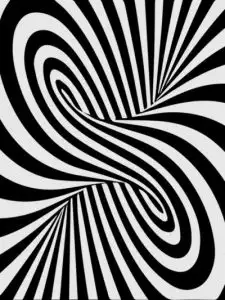 2913025