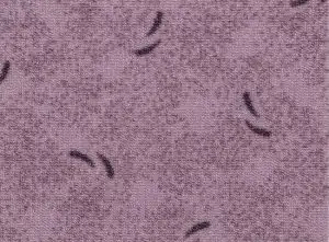 3050016-1