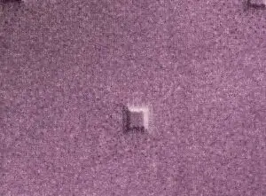 3050019-1